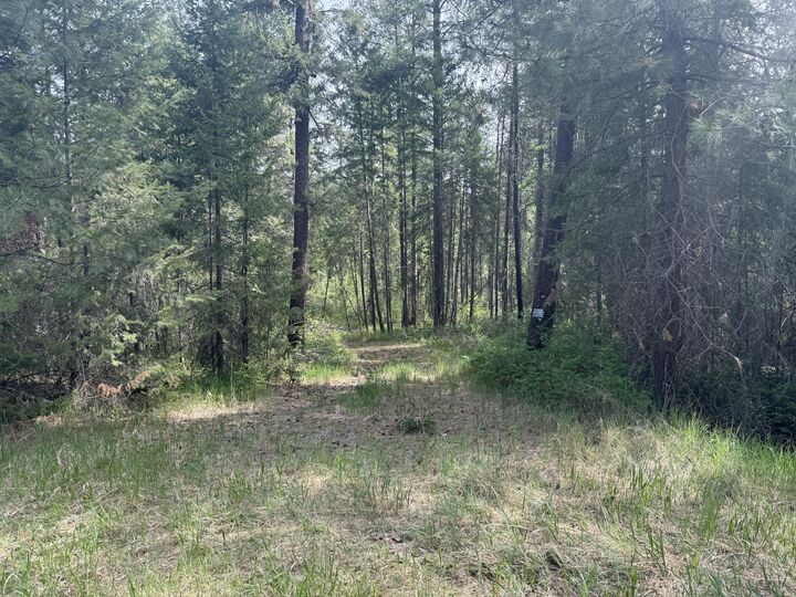 Property Photo: 67 First Thought Loop WA 99146