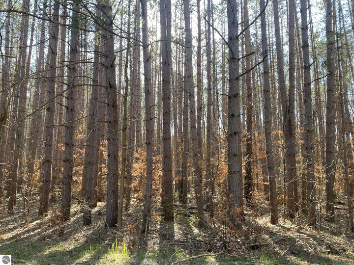 Property Photo:  Deer Run Drive  MI 49601 