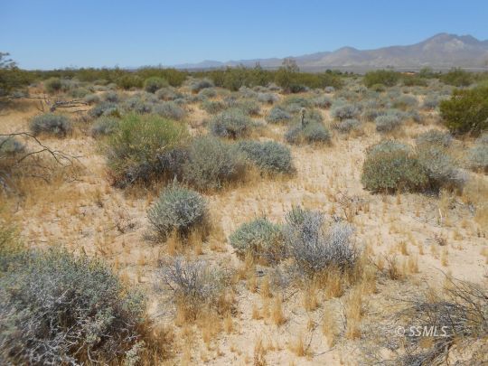 Property Photo: 084-264-07 Las Flores CA 93527