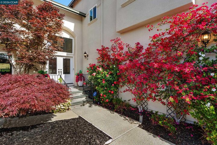 Property Photo:  3655 Deer Trail Dr  CA 94506 