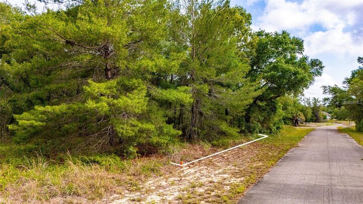 Property Photo:  Magnolia Drive  FL 32179 