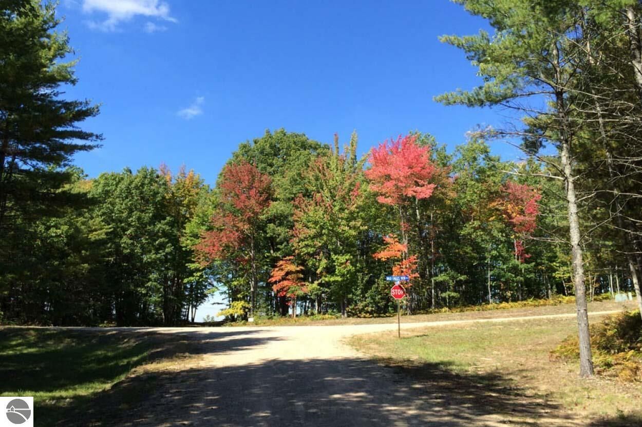 Property Photo:  4247 SW Bald Eagles View  MI 49680 