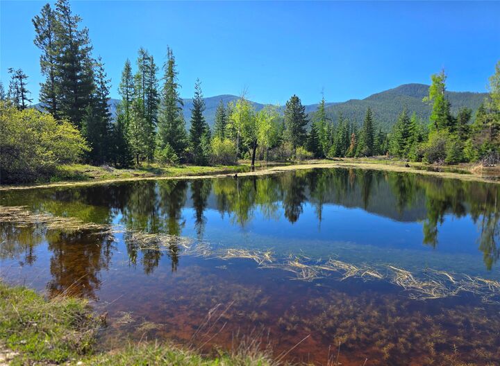 Property Photo:  440 Trout Creek Road  MT 59874 