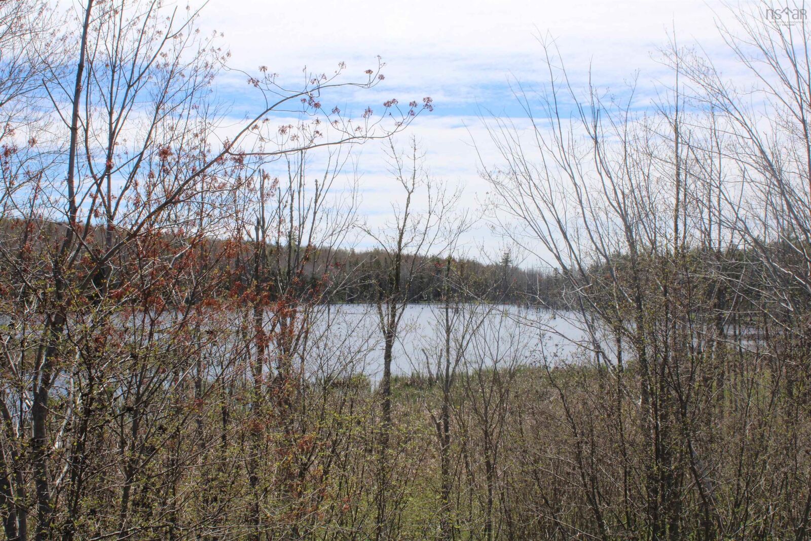 Property Photo:  Lot 1 Mary Jane Riley Road  NS B0S 1B0 