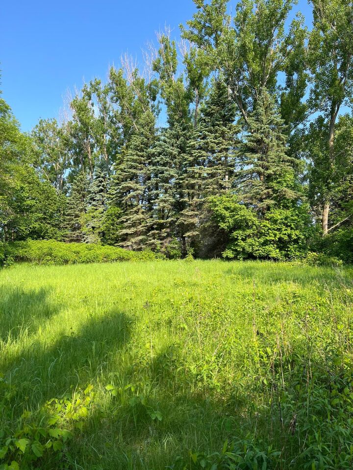 Property Photo:  Tbd Wild Rose Trail  MN 56544 