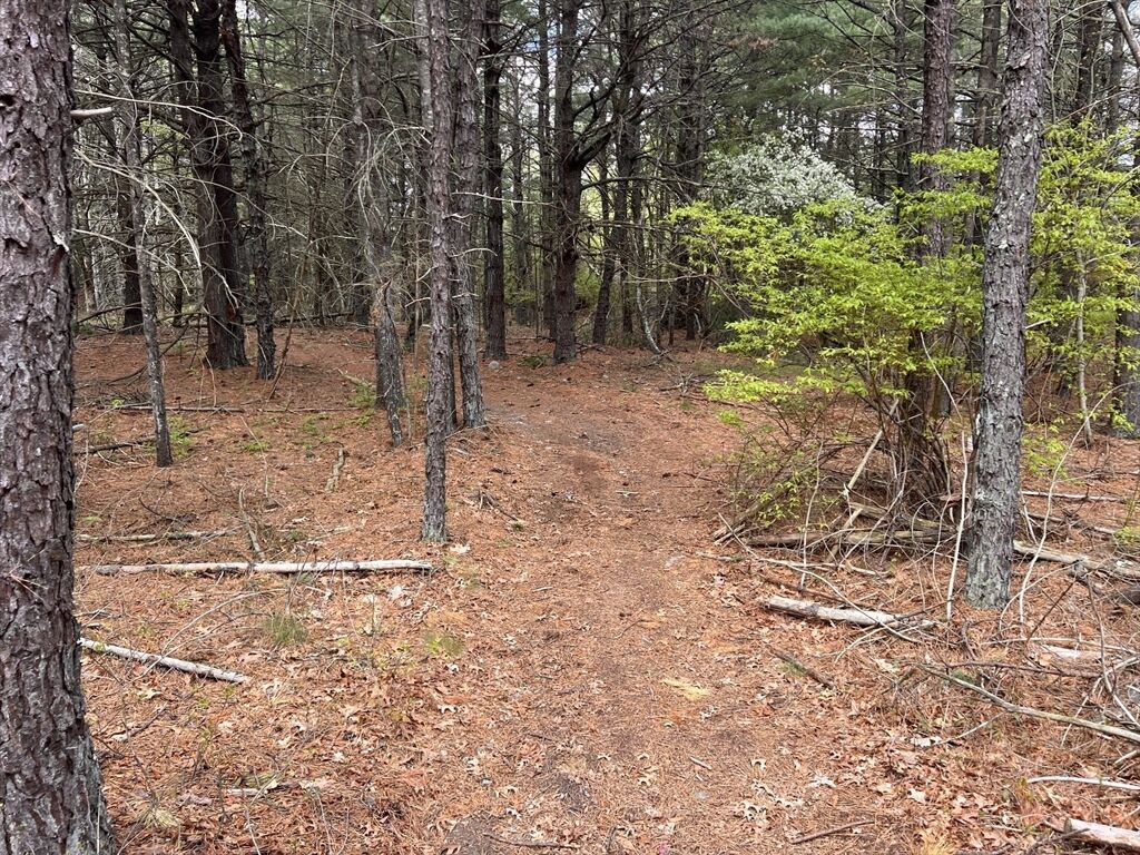 Property Photo:  0 Clay St  MA 02346 