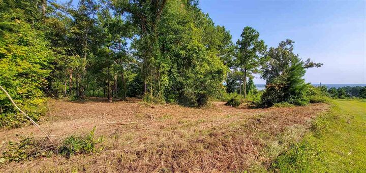 Property Photo:  Lot 13 Block A Mountain View Way  GA 39819 