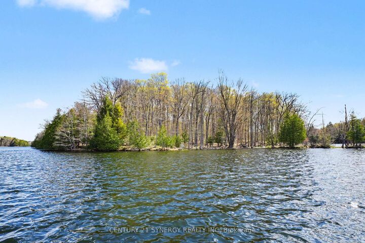 Property Photo:  Island 53 Draper Island  ON  