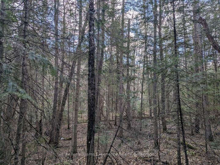 Property Photo:  1392 Echo Ridge Road  ON P0A 1M0 