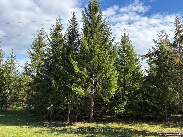 Property Photo:  Part 3 Ingham Road  ON K0K 2X0 