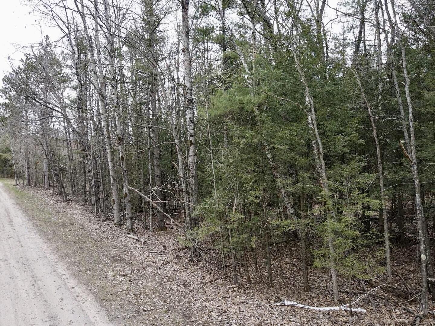 Property Photo: Par 4 Needles Road MI 49749