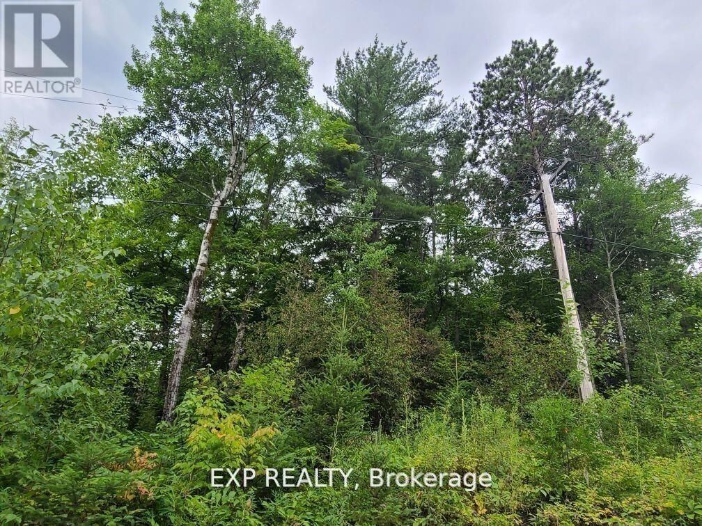 Property Photo:  20 Peplinskie Homestead Road  ON K0J 1B0 
