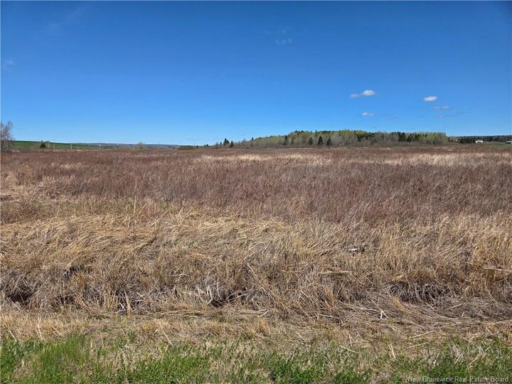 Lot Anderson Mill Road — photo 1