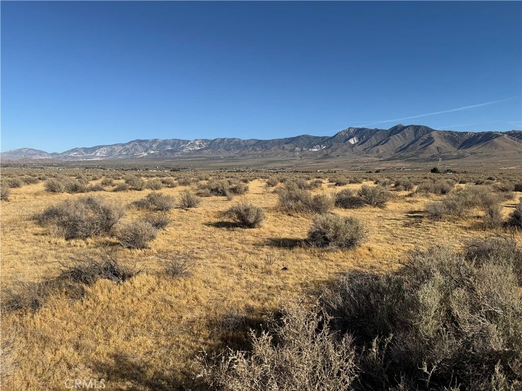 Property Photo: 0 Lucerne Valley CA 92356