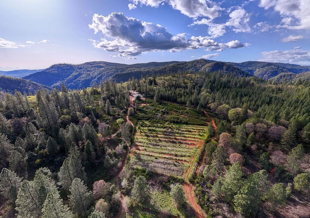 Property Photo: 10571 Sebastopol Road CA 95960