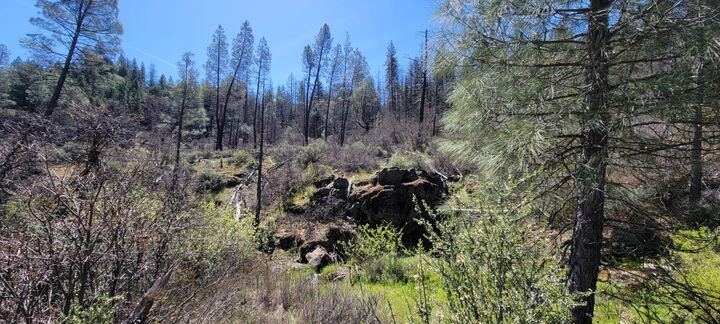 Property Photo:  2400 White Rock Road  CA 96076 