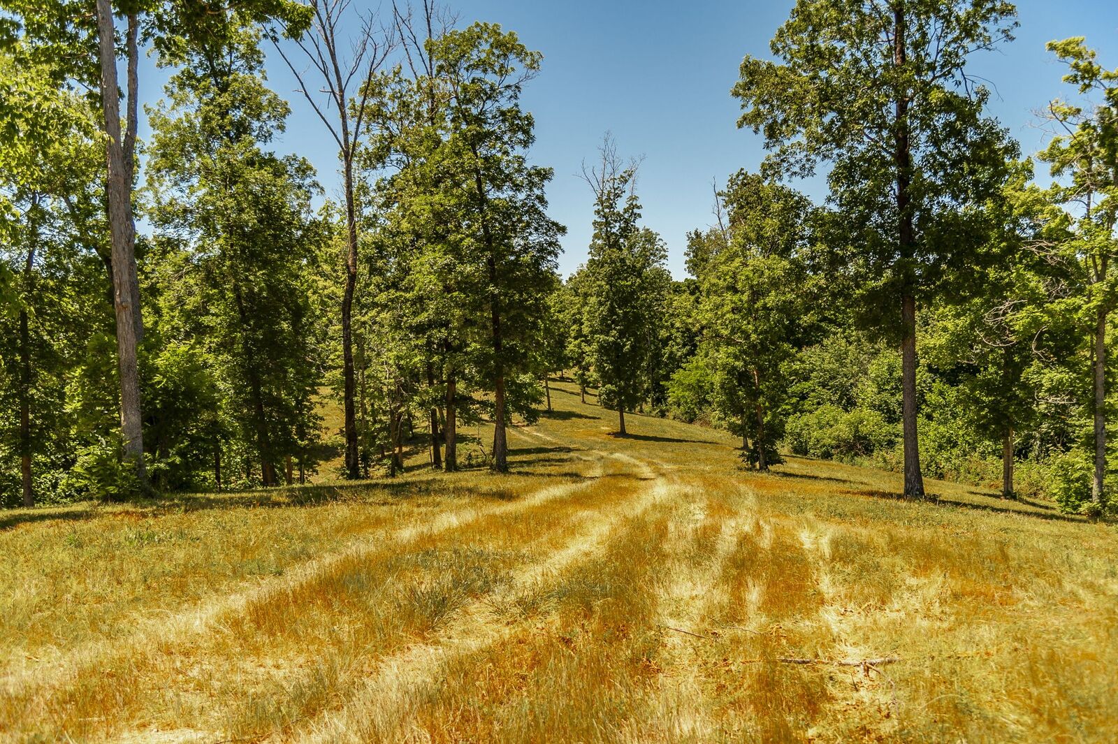 Property Photo:  8388 Cub Creek Rd  TN 37209 