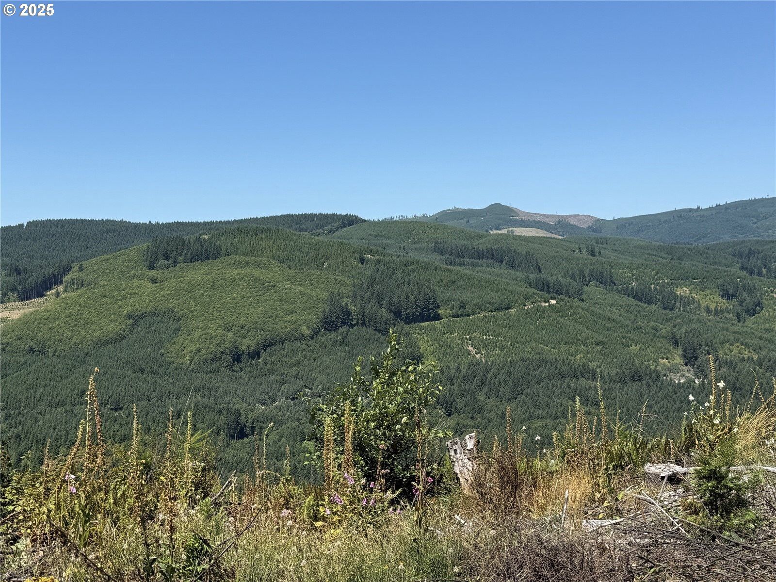 Property Photo:  3725 Little Kalama River Rd  WA 98674 