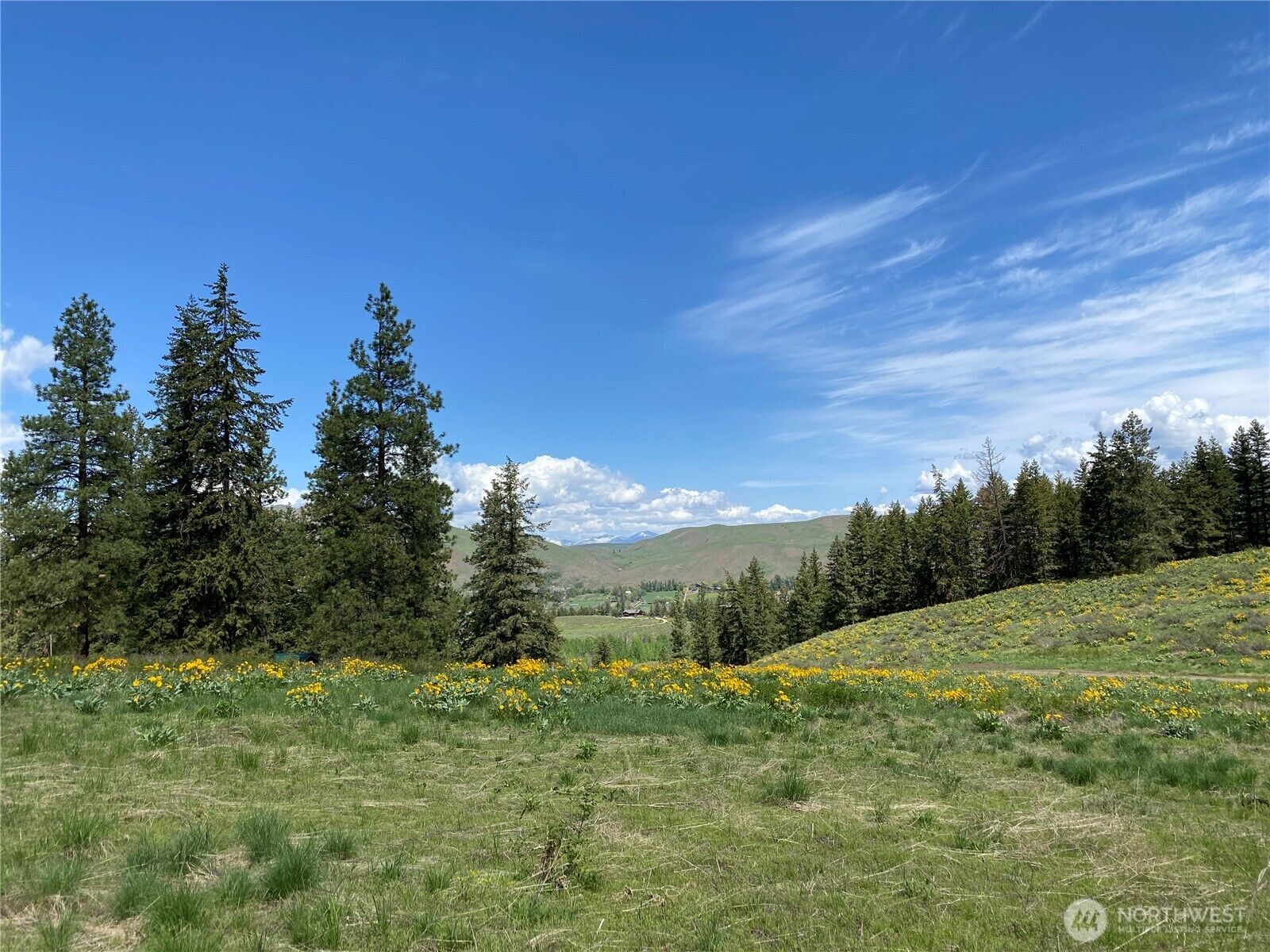 Property Photo:  102  Elbow Canyon Road  WA 98856 