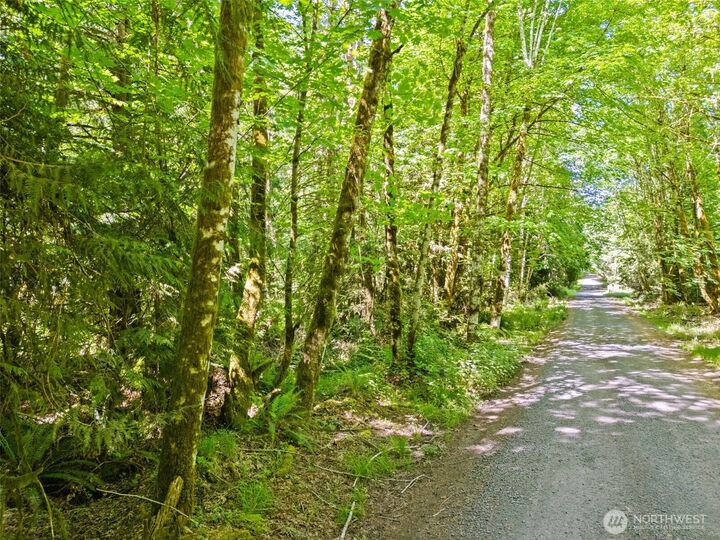 Property Photo:  0 Tr D E Jared Road  WA 98584 