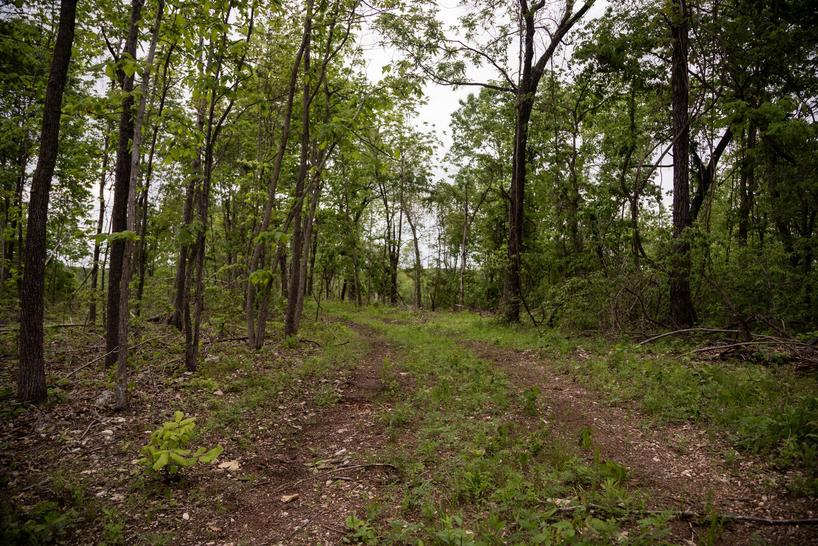 Property Photo:  000 State Highway Y  MO 65778 