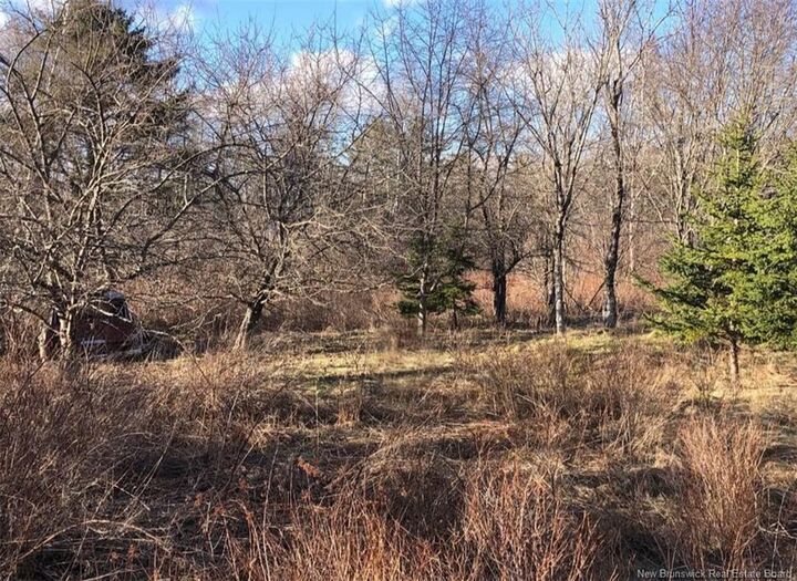 Property Photo:  Lot Crocker Hill  NB E3L 3Z4 