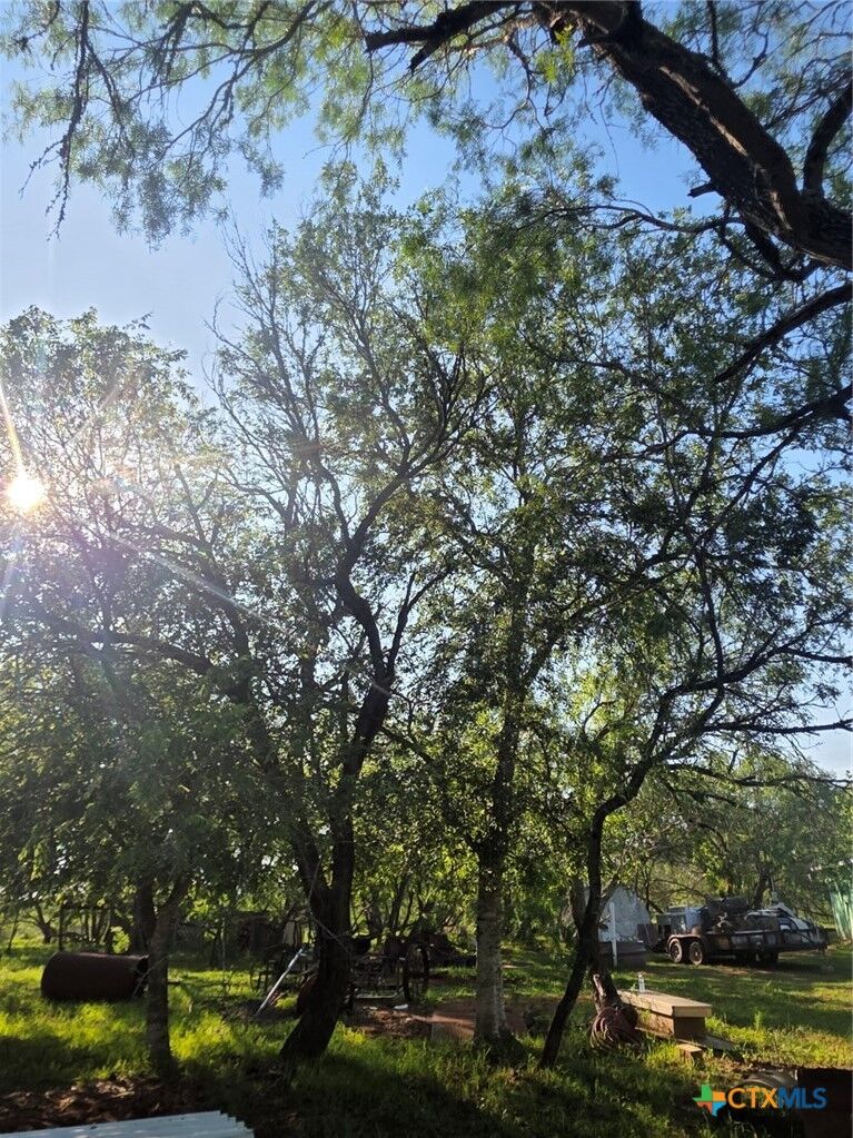Property Photo: 766 Rawhide Road TX 78155