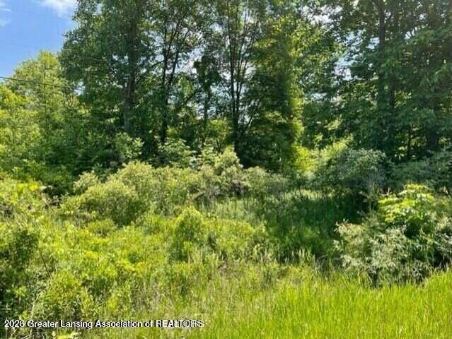 Property Photo: 0 Woodbury Road MI 48848