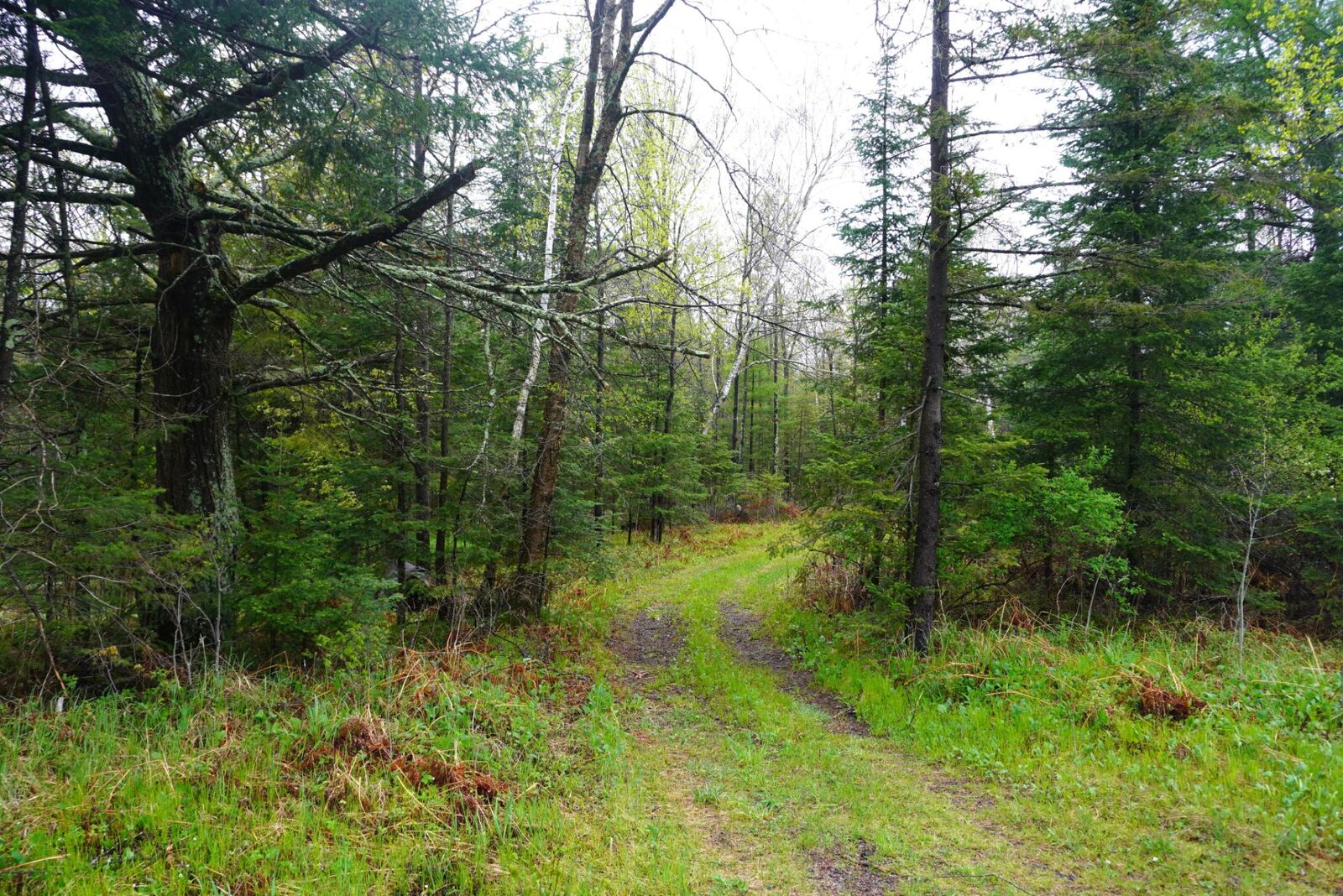 Property Photo: 20 Acres Cth X WI 54435