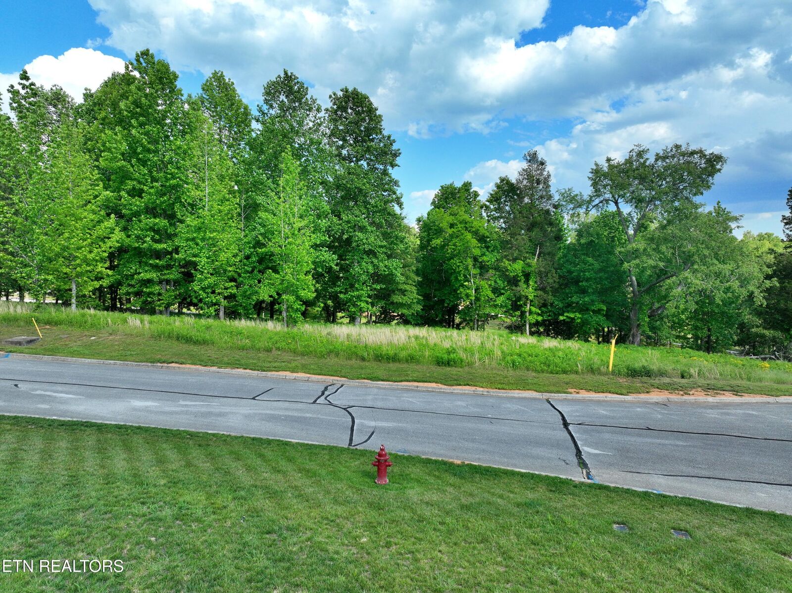 Property Photo:  Lot 56 Blue Heron Bluff Rd  TN 37748 