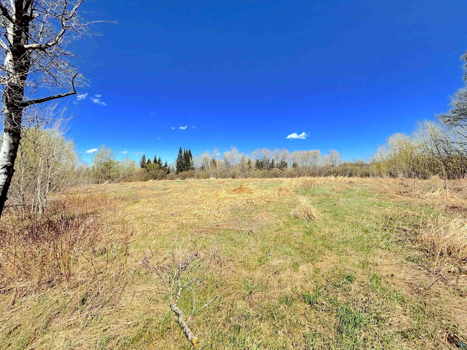 Property Photo:  22xx Bardon Ave  WI 54880 