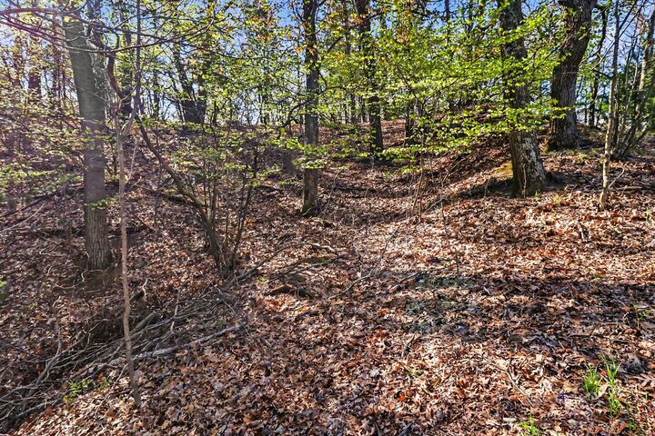 Property Photo: N Silver Ridge Road MI 49436