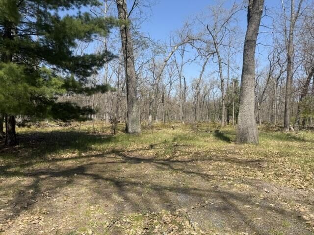 Property Photo:  9227 S Star Lake Drive  MI 49304 