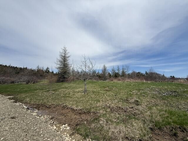 Property Photo: Lot 3 Holmes Bay Farms Road ME 04691