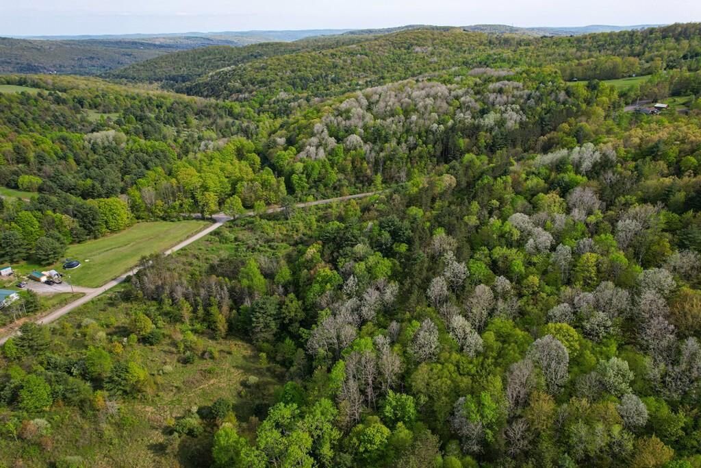Property Photo:  300 Miller Hollow Road  NY 14892 