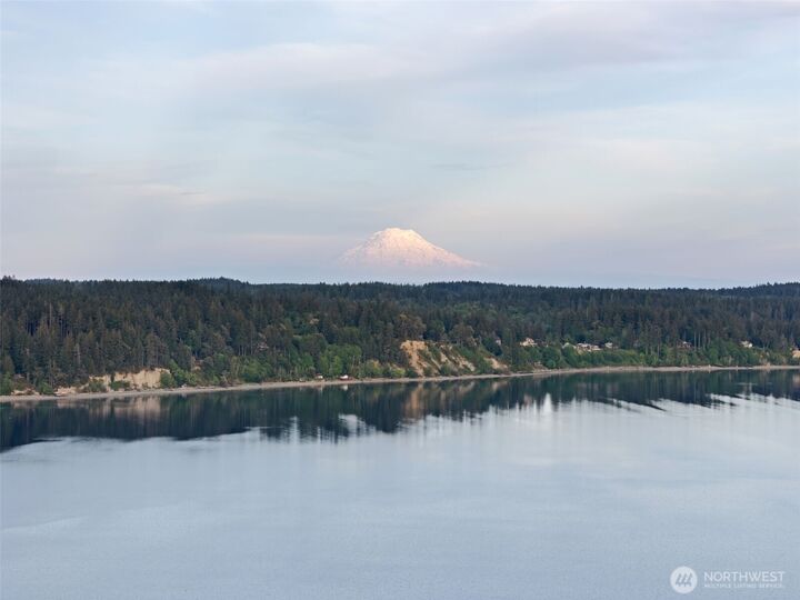 Property Photo:  211 E Vineyard Crest Road  WA 98546 