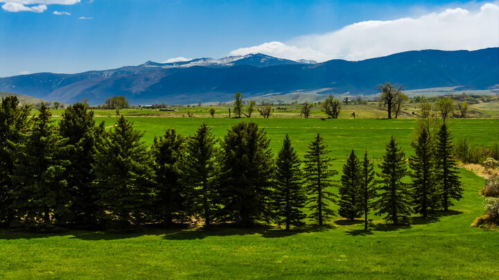 Property Photo:  36 Whitetail Lane  WY 82801 
