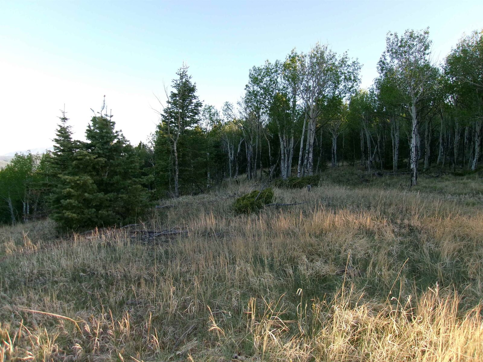 Property Photo:  123 Ravenwood  NM 87710 