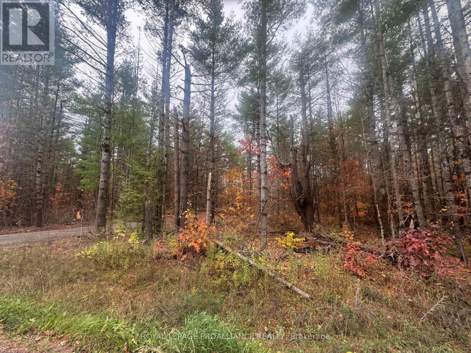 Property Photo:  945 Shanick Road  ON K0K 2M0 