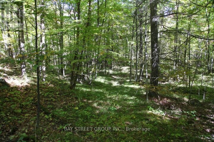 Property Photo:  0 County Road 41 Road South  ON K0H 1Z0 
