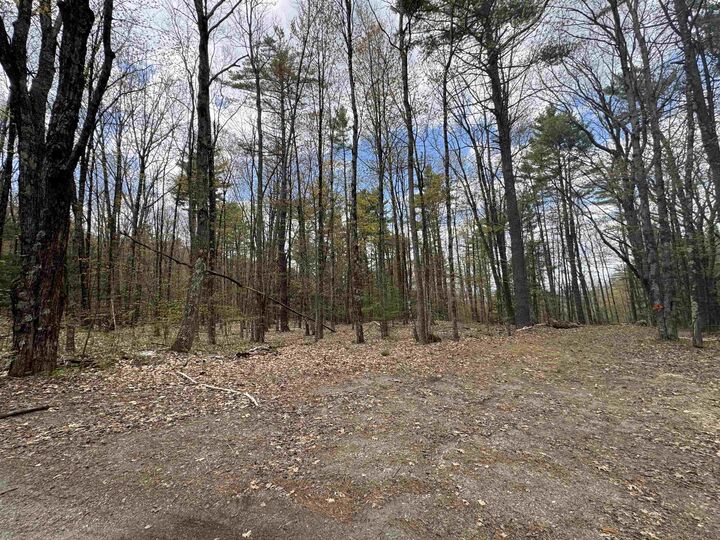 Property Photo:  00 Esty Road  NH 03467 