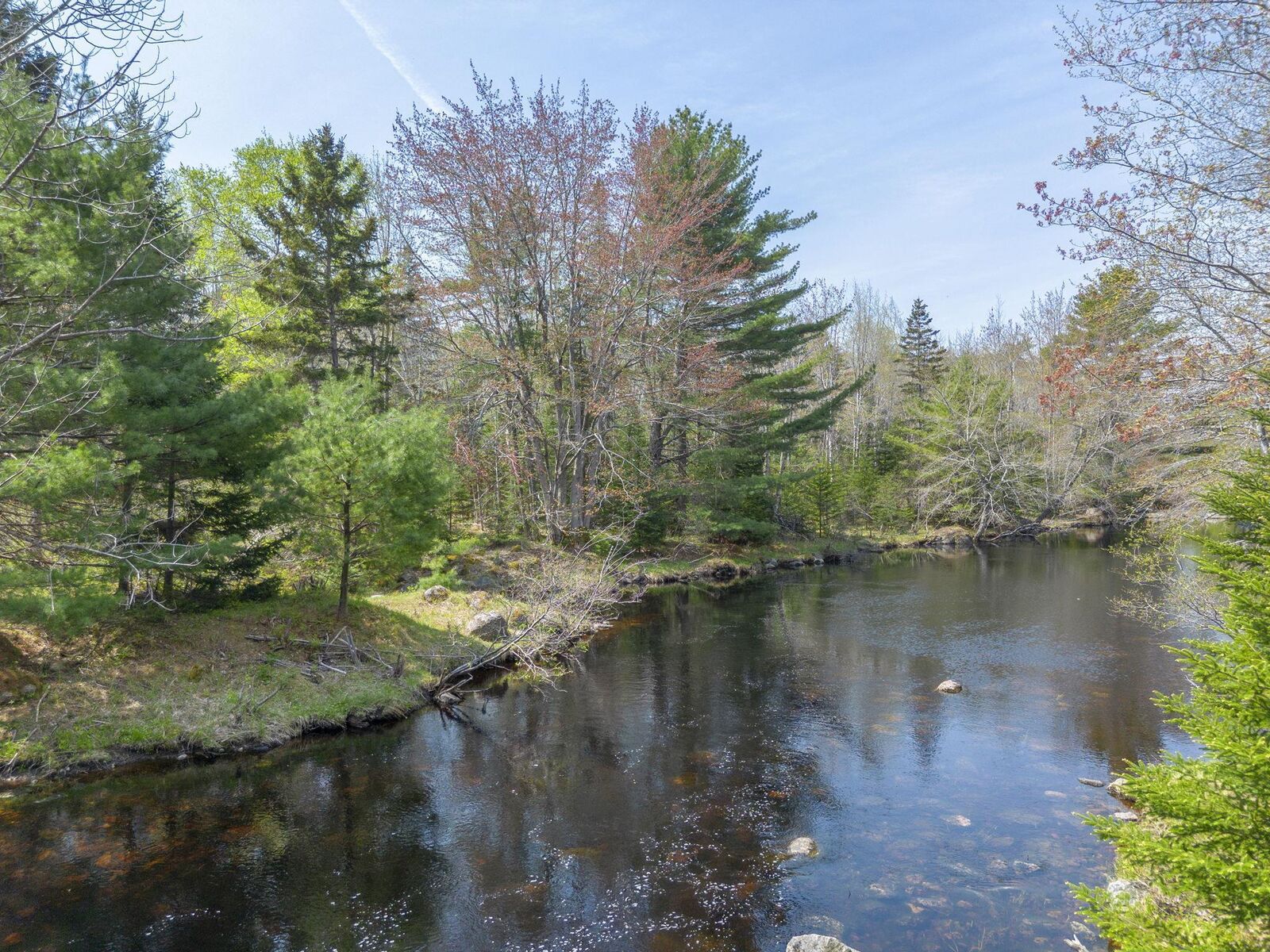 Property Photo:  Mickey Hill Loop  NS B0S 1A0 