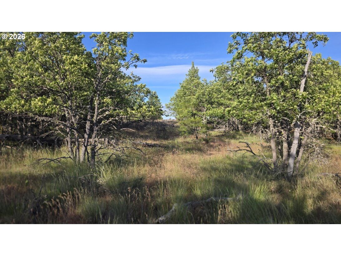 Property Photo:  Nka Meachum Rd 2  WA 98620 