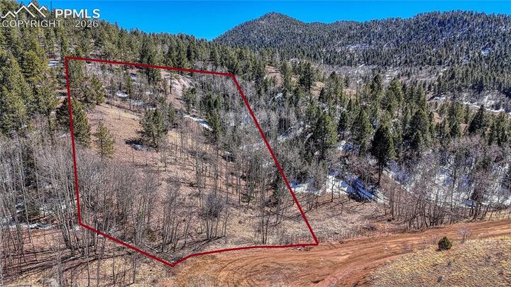 Property Photo:  513 Last Dollar Drive  CO 80813 
