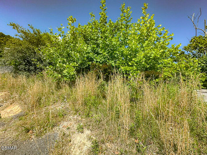 Property Photo:  639 Pinecrest Drive  TN 37738 
