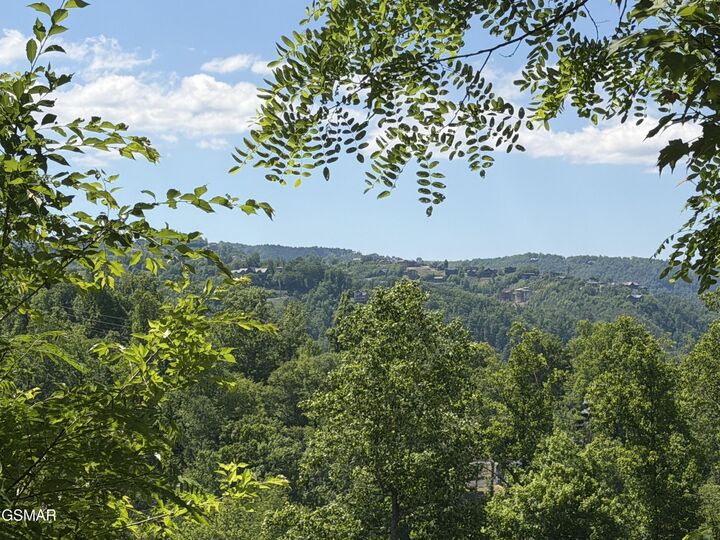 Property Photo: 411 Abrams Falls Way TN 37738
