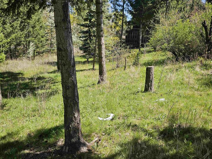 Property Photo:  1001 S Haven St  WA 99202 