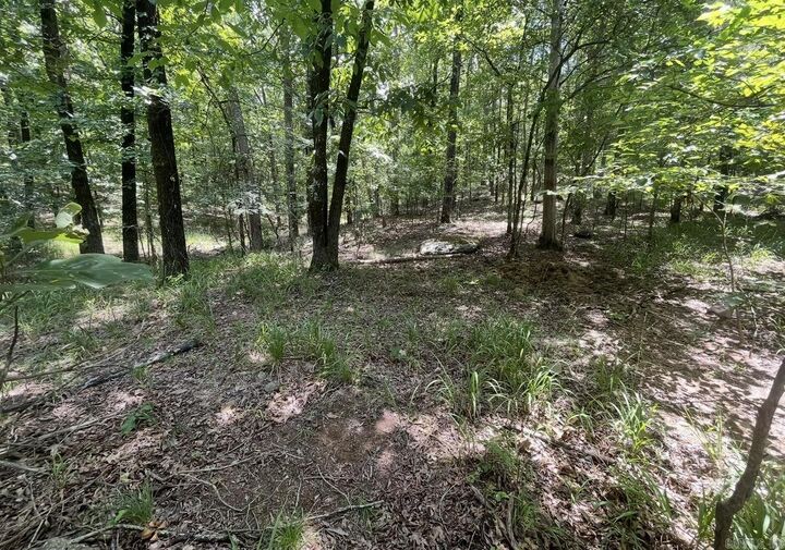 Property Photo: Lot #37 Saratoga AR 71901