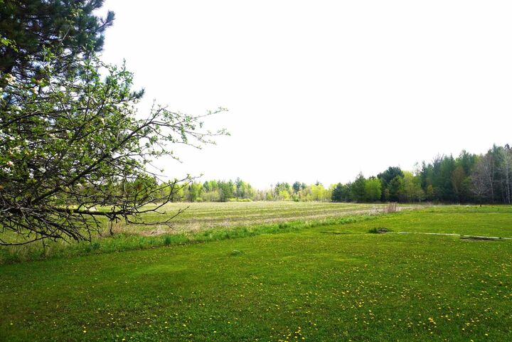 Property Photo:  20 Acres Bradley Street  WI 54435 