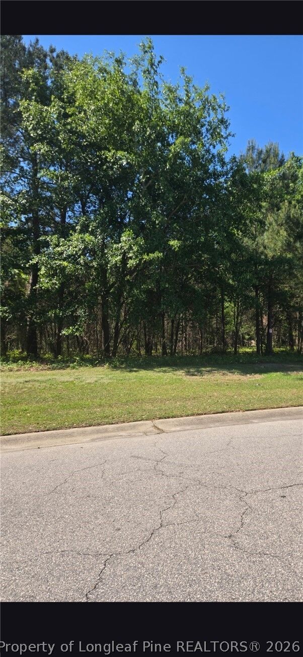 Property Photo:  4028 S Main St & Edwin Deaver Street  NC 28348 